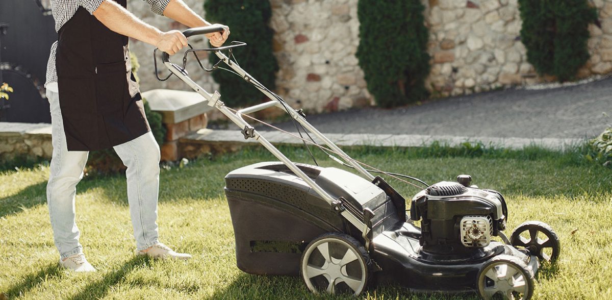 5 conseils d’entretien du jardin pour l’été