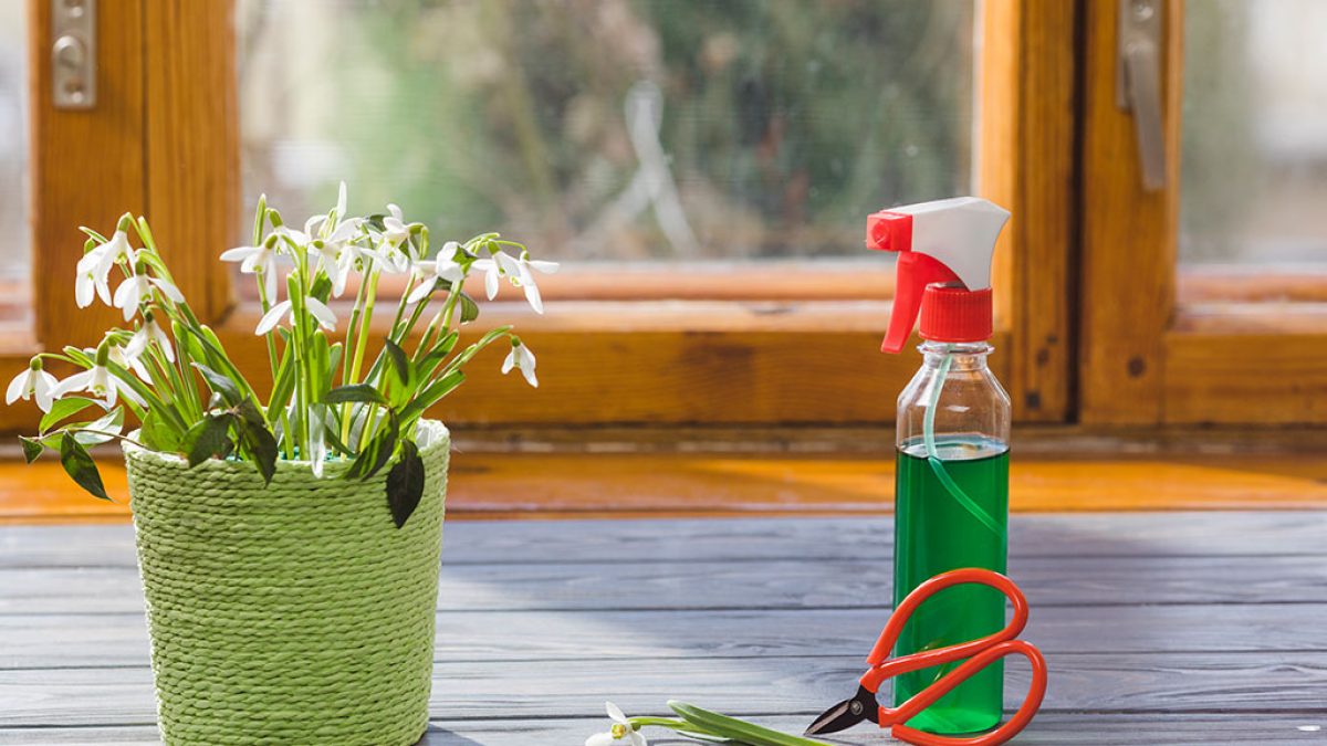 Le ménage de printemps : un nouveau départ pour votre maison